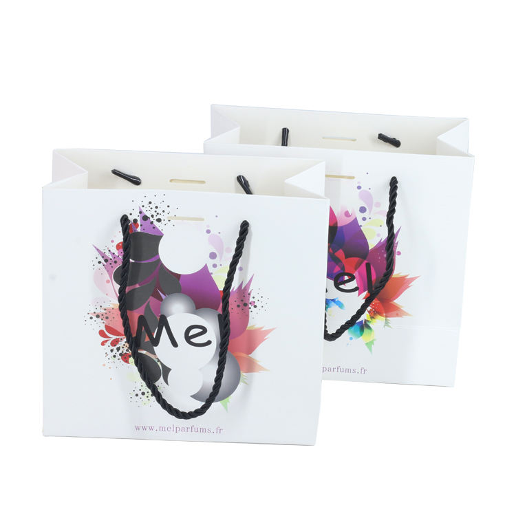 Luxury European-Style Printed Paper Bag